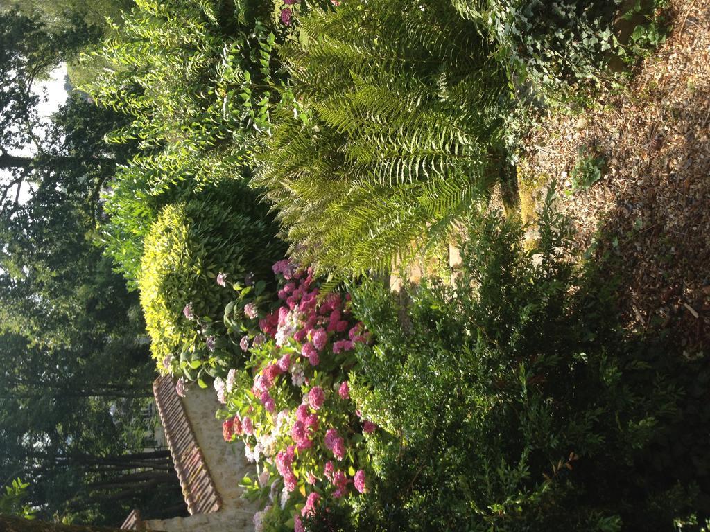 Les Hortensias Κλερμόν Εξωτερικό φωτογραφία